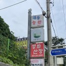 시흥 부천 하우고개 오리백숙 맛집 대풍 농원 후기