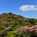 샛별님 이미지