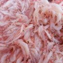 신광상회 이미지