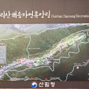 국립희리산해송자연휴양림 네이버블로그