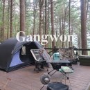 강원도 캠핑 | 국립 청태산 자연휴양림 야영장 이용 후기
