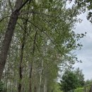 국립산림과학원 산림욕 갑니다. 이미지