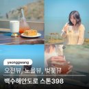 398 | 광주 근교 벚꽃 드라이브 지금 떠나기 좋은 백수해안도로 스톤398