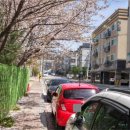 인천간재울초등학교 이미지