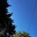 이주형 | 240924 키움히어로즈 팬사인회 후기(송성문, 김혜성, 이주형) 그리고 홈 마지막 경기