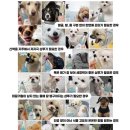 고집 - 동작구 여의대방로10길 38 | 고집