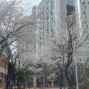 종이사람 이라도 좋구나 이미지