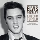 I'll Never Stand In Your Way - Elvis Presley - 이미지