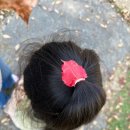 다송어린이집 이미지