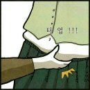 살집