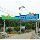 팔공산올레길 5코스 이미지