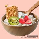요거트 아이스크림의 정석(진접점)