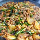 산호농장 이미지