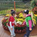 진주숲어린이집 이미지