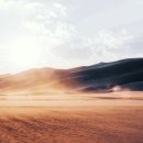 화이트플러스치과의원 이미지