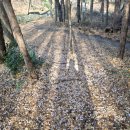 생활일기 열(25.11.1~) 이미지