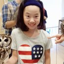 부엉이카페 - 울진군 불영계곡로 3460 | 부엉이카페