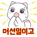 펫보드레 이미지