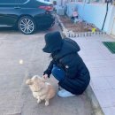 여인천하조개구이