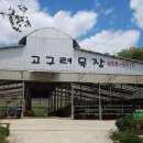 고구려 목장 이미지