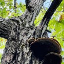 인제06-2 이미지