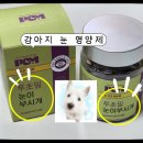 눈이부시개 네이버블로그