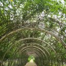 우로지 자연숲 공원(메타세쿼이아길) 이미지