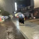 목우촌사골돼지국밥 | [양재시민의숲역 맛집] 장마철엔 묵직한 사골육수 돼지국밥 | 양재 '팔뚝집' 사골 돼지국밥 정식 후기