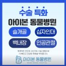 광진동물병원 | 광진구 자양동 위치한 아이본 동물 병원 강아지 허리 목 디스크 치료 후기