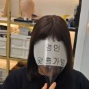 좋은가발스타일 | 항암가발 중 단발→단발 스타일 변경 후기ㅣ대구 맞춤 항암가발 자연스럽게 바꾸는 방법