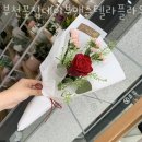 부천꽃집데이브앤스텔라플라워즈 이미지
