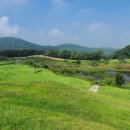 그린클럽 골프연습장 이미지