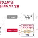 테라비트 이미지