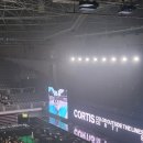 릴리즈 | 25.09.08 코르티스 릴리즈파티 후기