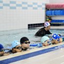 음파음파 수영장 이미지