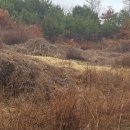 중리농장 이미지