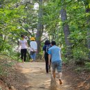 한국국토정보공사 부산울산지역본부 이미지