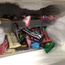 탁구(야간) 이미지