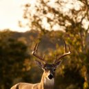 제일대학길 이미지