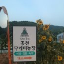 로그캐빈하우스 | 홍천 캠핑 여름 피서지 — 해발 700m 홍천무네미농장(펜션,캠핑)의 숨은 매력