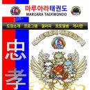 마루아라태권도 이미지