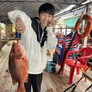 국화낚시터 | 안면도 근처 초보자도 누구나 잡아보go먹고go놀go~! 남용호좌대낚시터