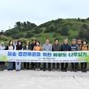 비양도의 비양나무자생지 이미지