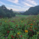 25.9월 휘닉스파크 CC 이미지