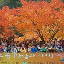 한국장애우마을