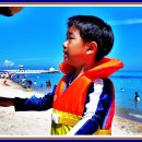 강문바다 이미지