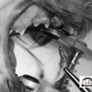 샐리동물병원 이미지