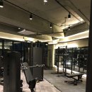 짐오브선셋 이미지