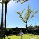 소도락하우스 이미지