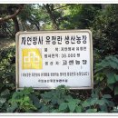 고센농장 이미지